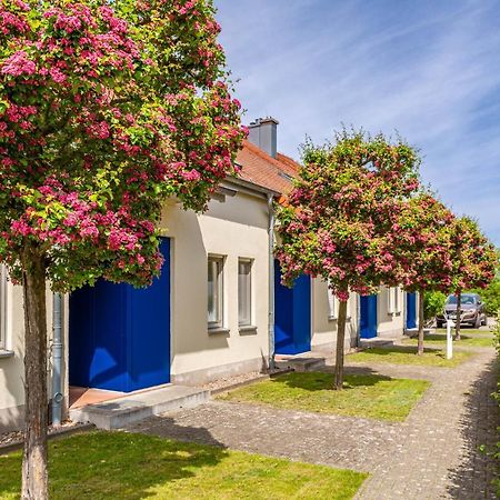 Apartment Biber Mit Terrasse Dewichow المظهر الخارجي الصورة