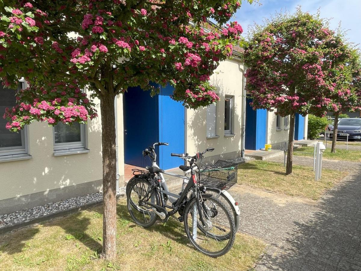 Apartment Biber Mit Terrasse Dewichow المظهر الخارجي الصورة